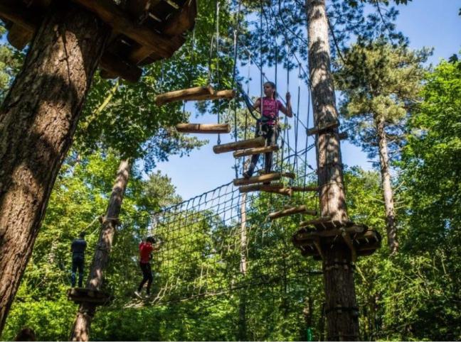 Kletterwald Zeeuwse Helden